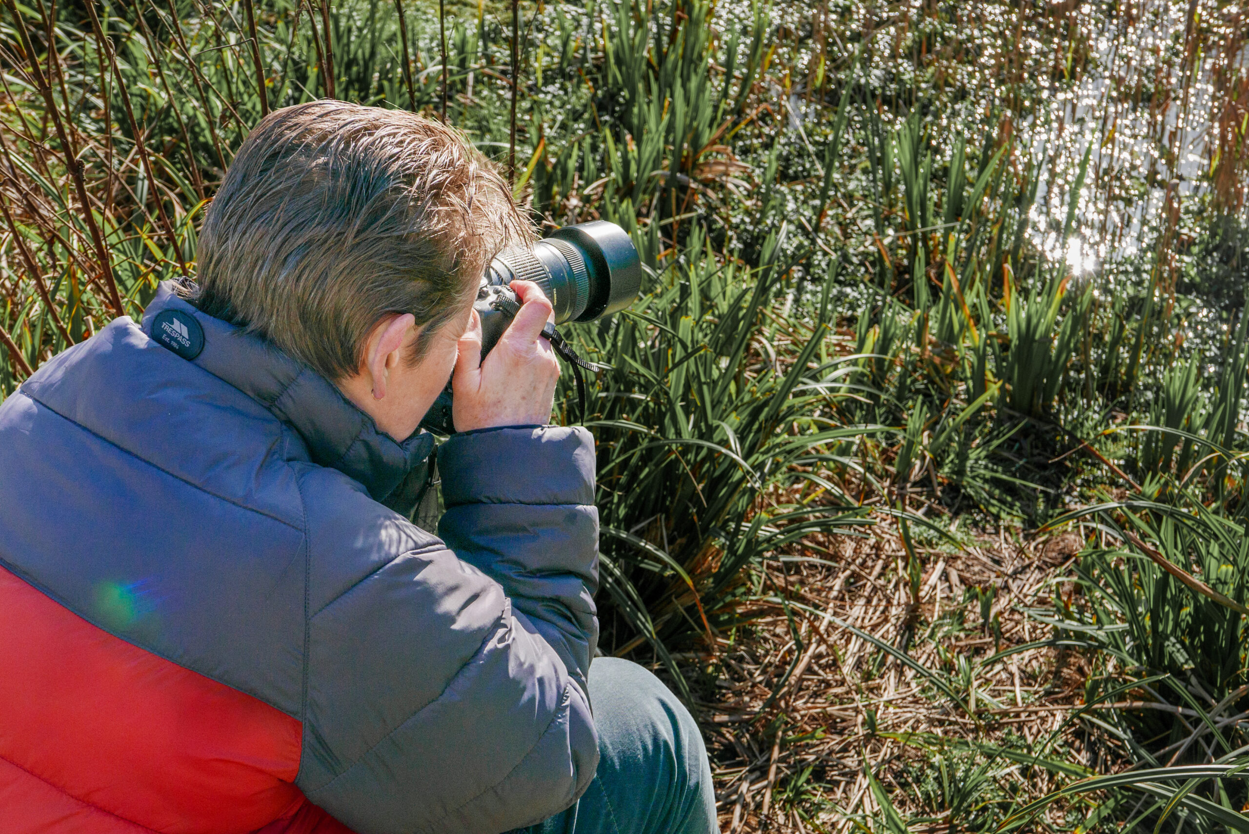 A woman is crouching on the ground outdoors holding a camera, ready to photograph some reeds in a body of water